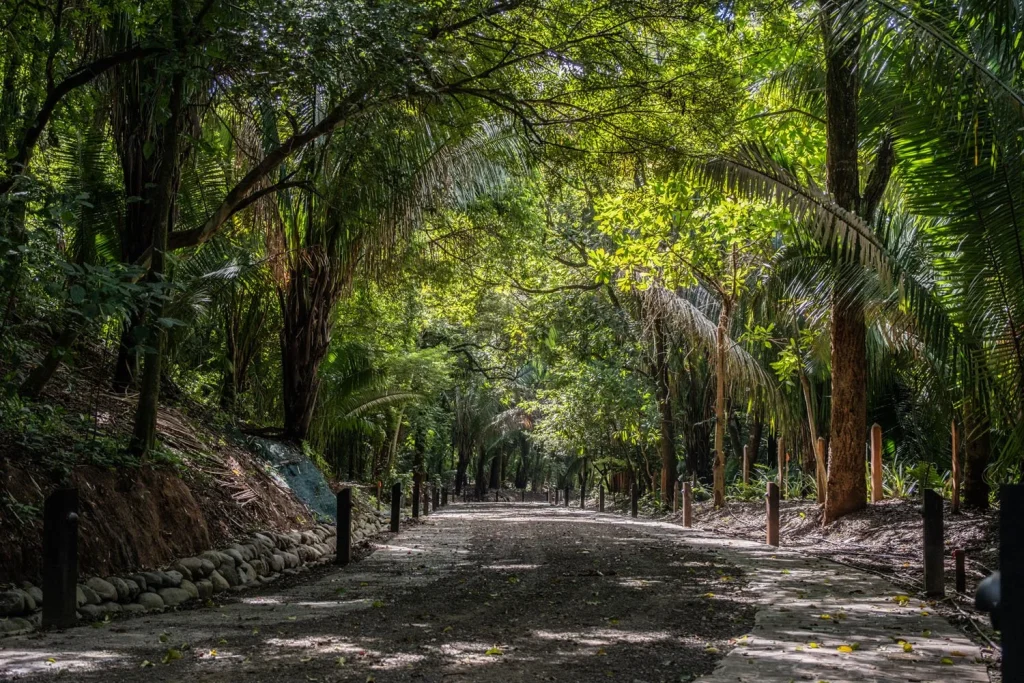 El Bosque Nosara - Real Estate Project in Nosara, Guanacaste, Costa Rica